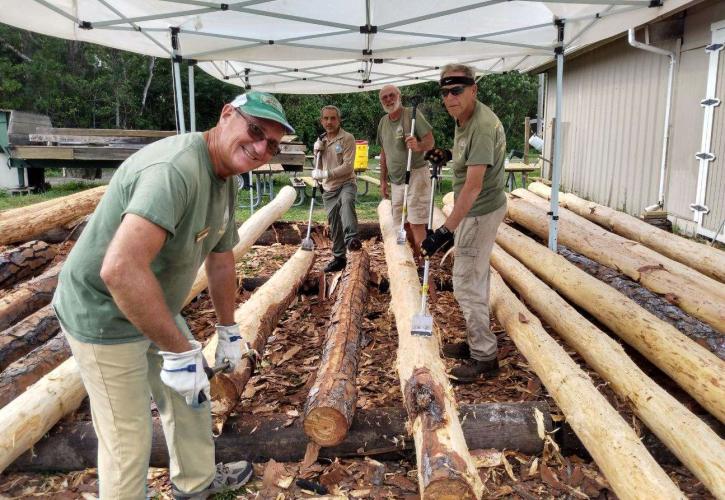 Volunteers stripping pine logs