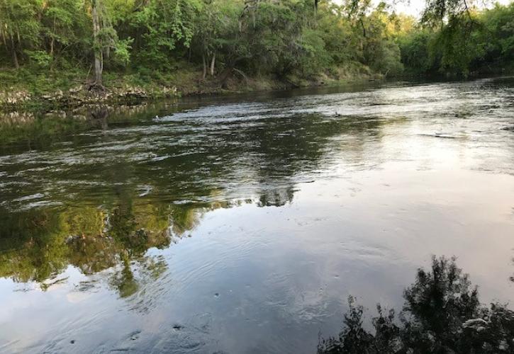 Madison Blue Withlachoochee River