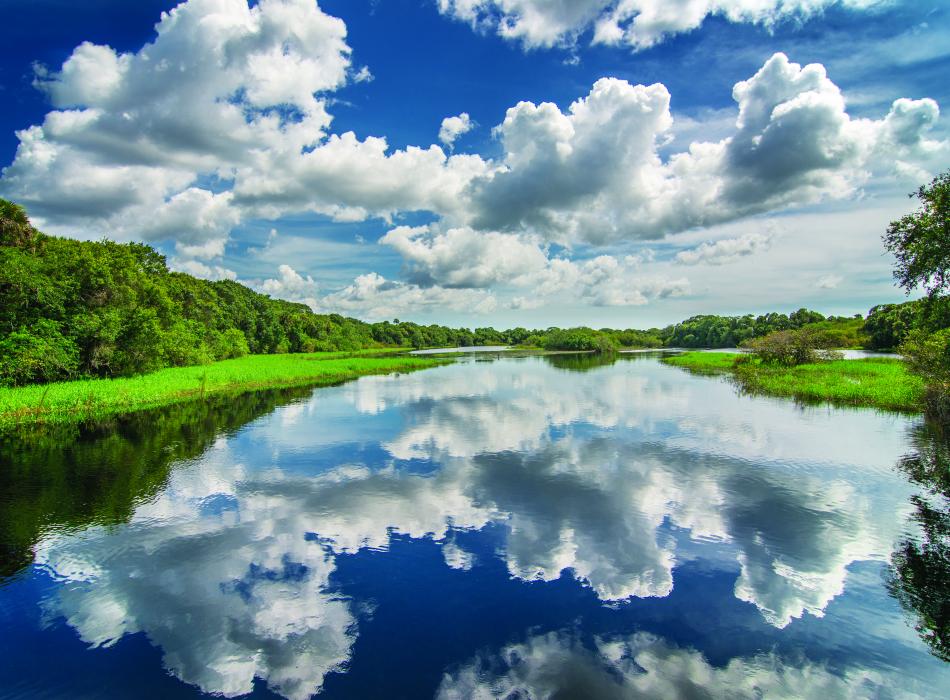 Myakka River