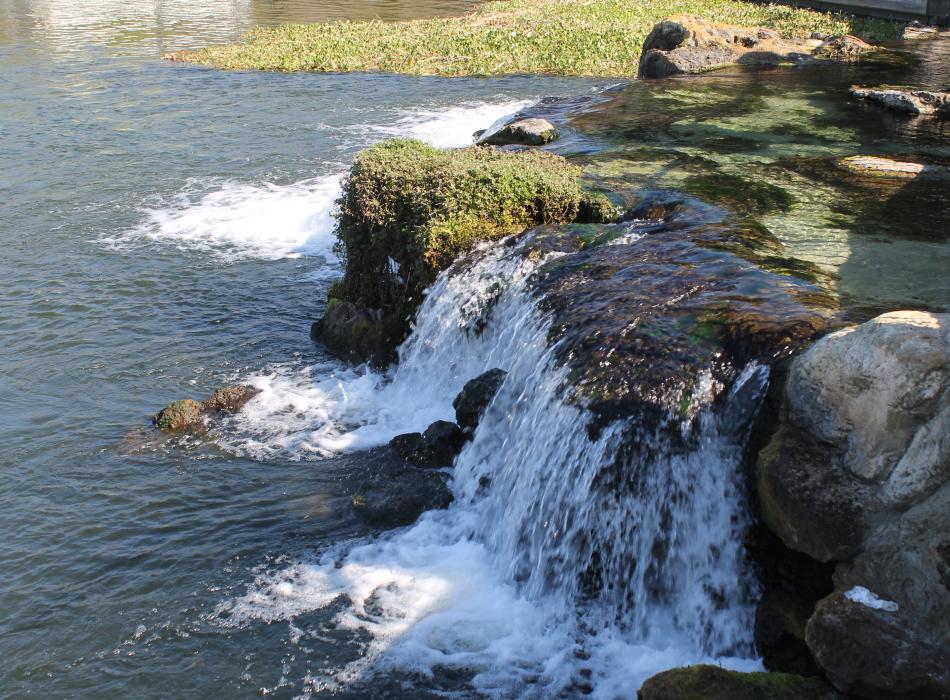 A view of the water rolling off the rocks.