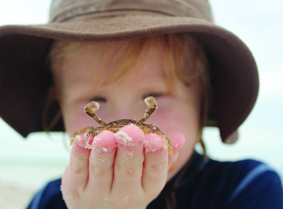 A child holds a crab while exploring the beach.