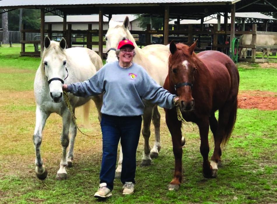 A woman leads three horses through the park at Blackwater River State Park.