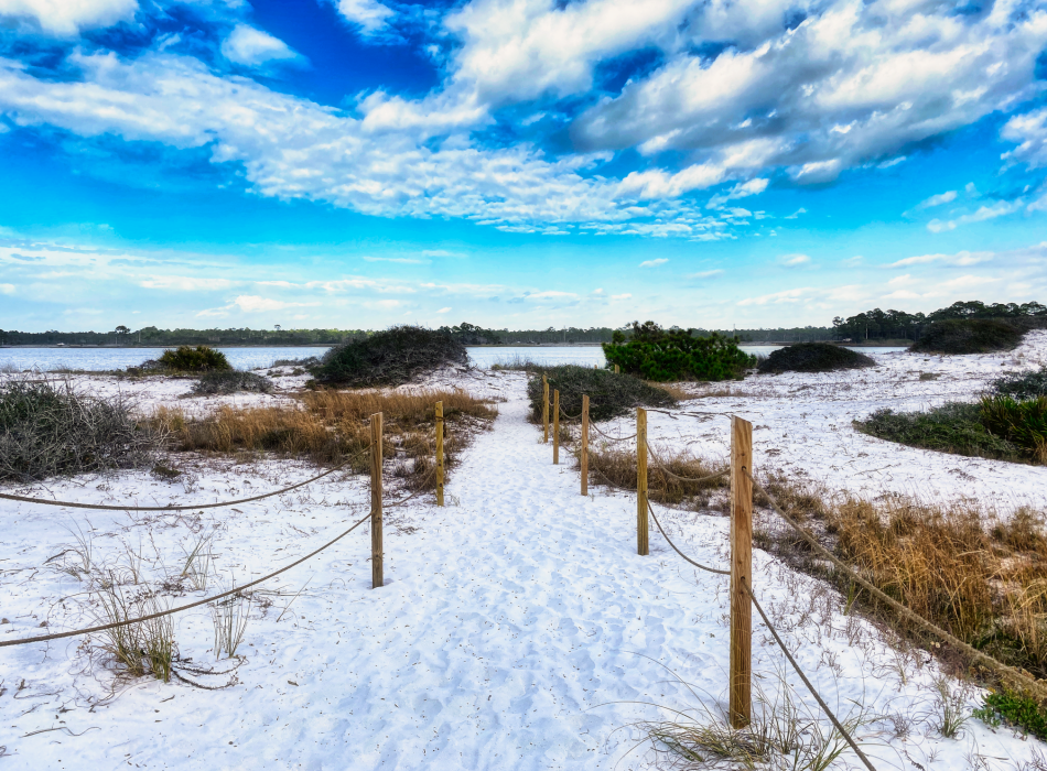 Ropes define a path through the dune to the beach at Grayton Beach State Park.