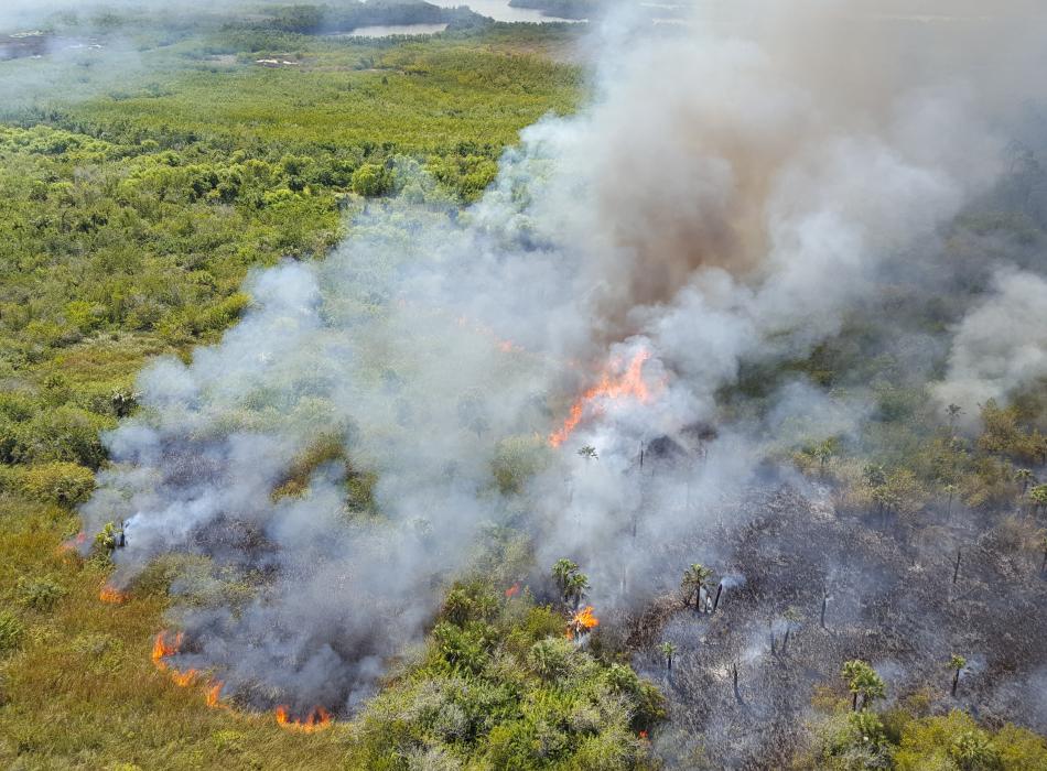 View of a prescribed fire from the air.