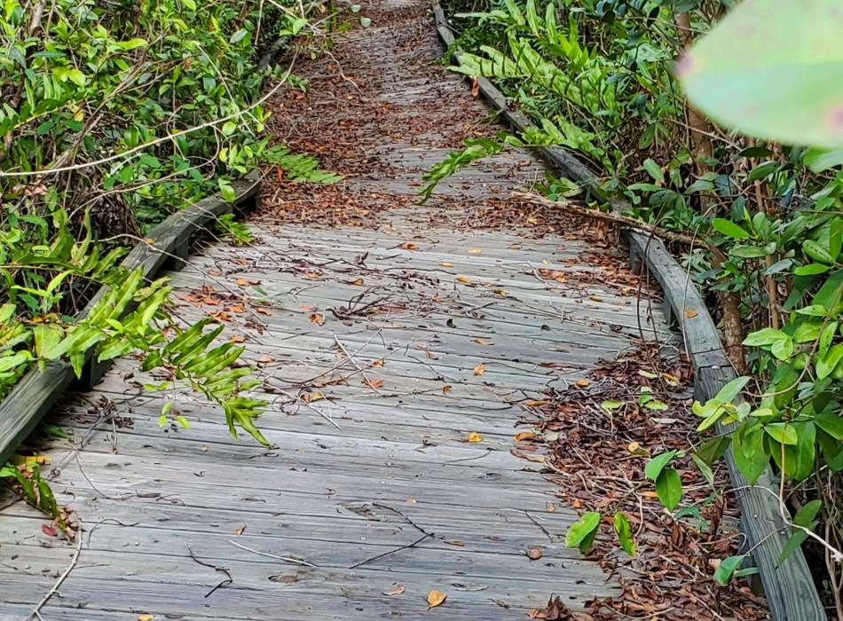 Damaged boardwalk after Hurricane Ian