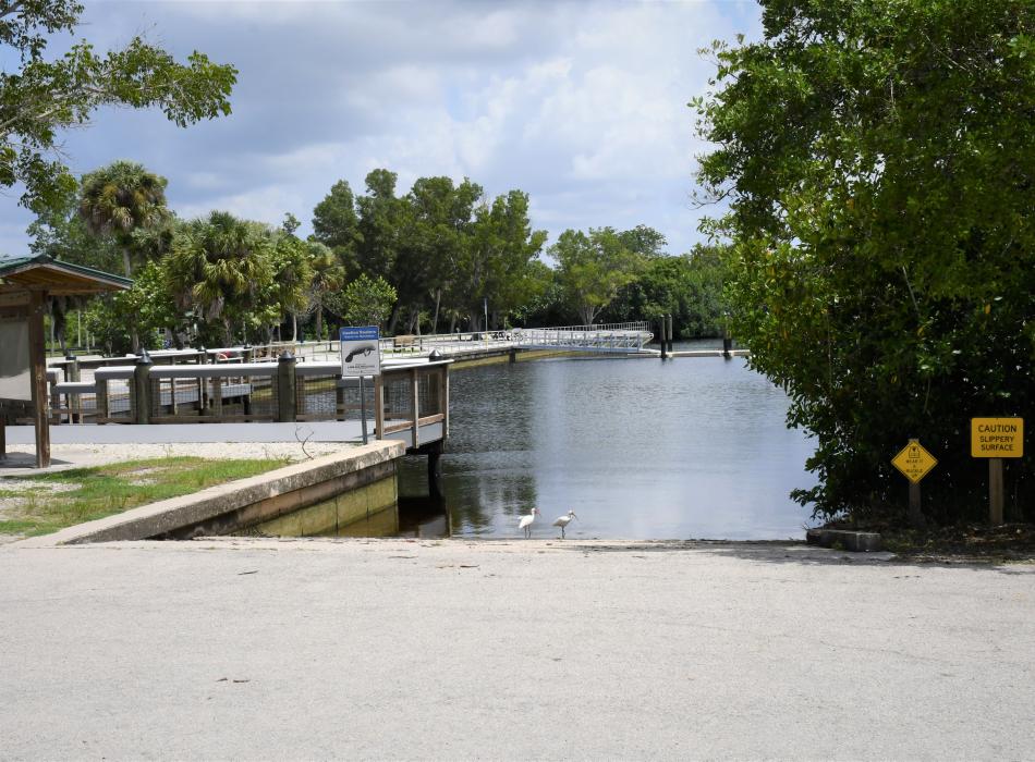 Boat ramp to the Blackwater River with water and 2 white ibis birds