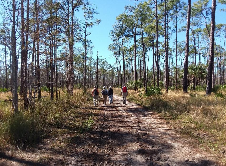 People hiking on a remote trail.