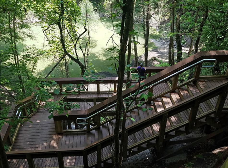 New sinkhole boardwalk at Devil's Millhopper