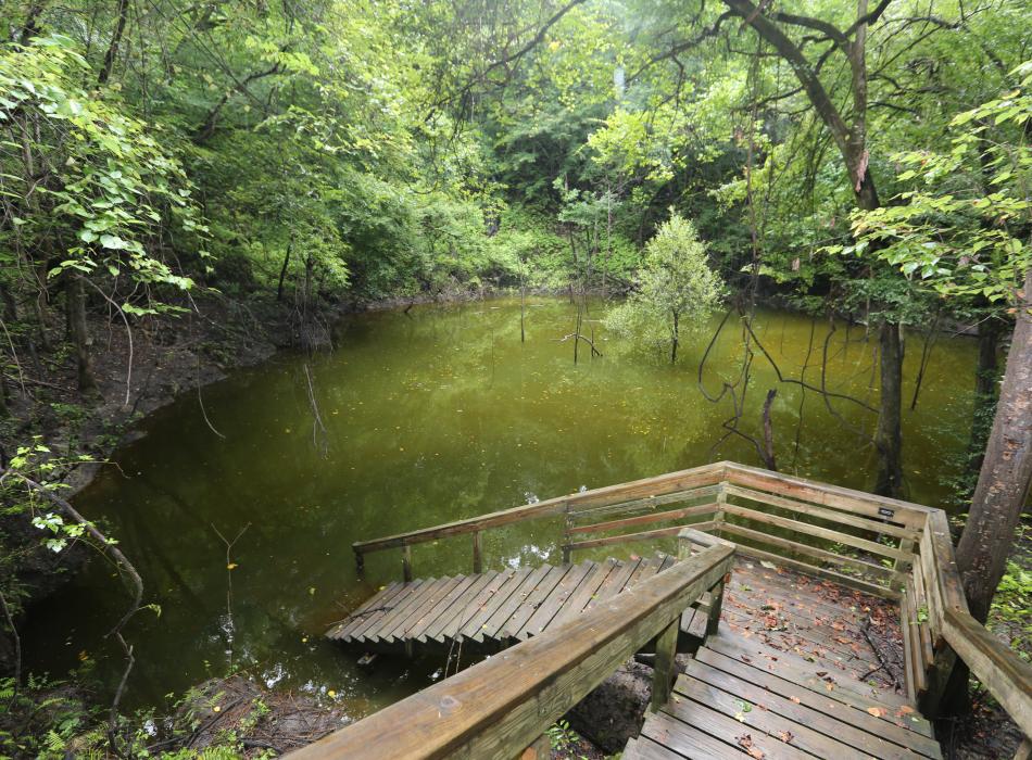 A view of the lake at the bottom of the sinkhole.