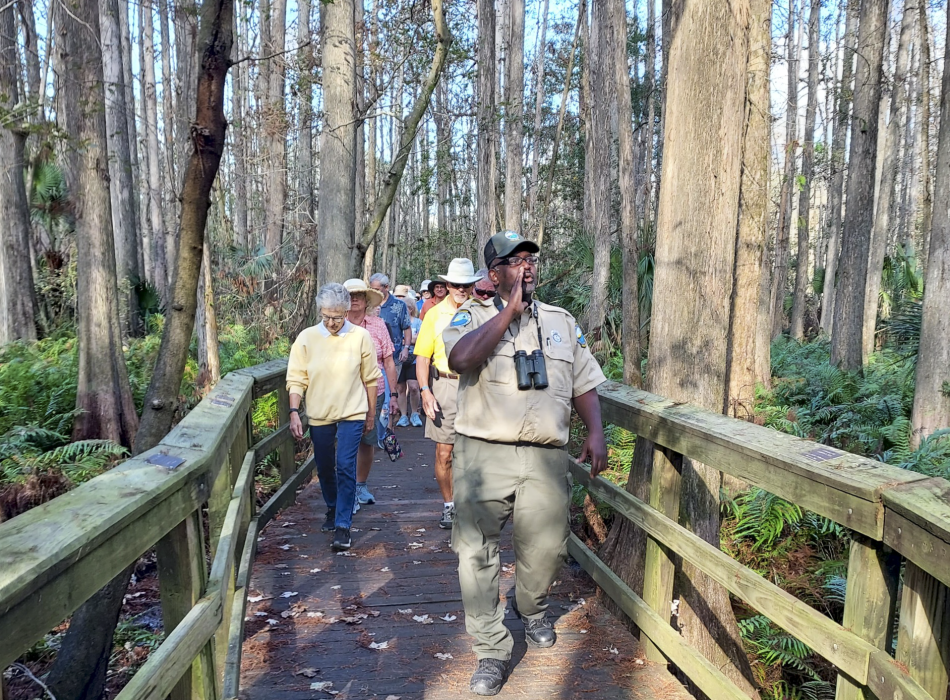 A ranger making owl calls during a guided hike on a boardwalk at Highlands Hammock State Park