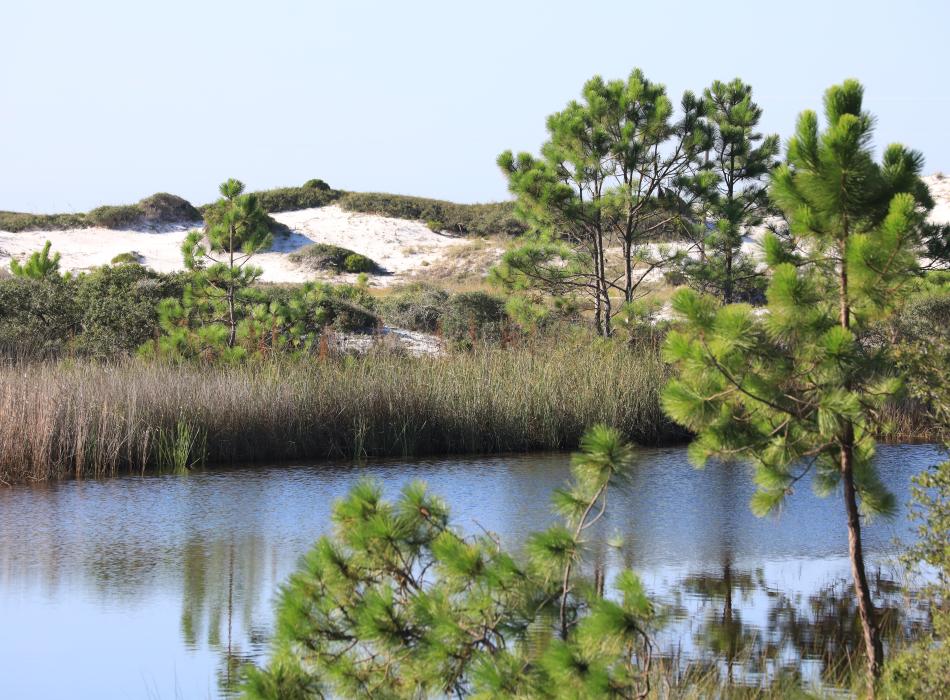 Sand dunes meet waters of coastal dune lake. 