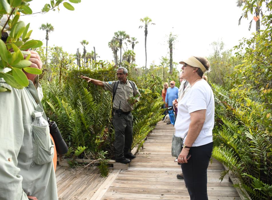 People standing during a guided hike in a nature trail.