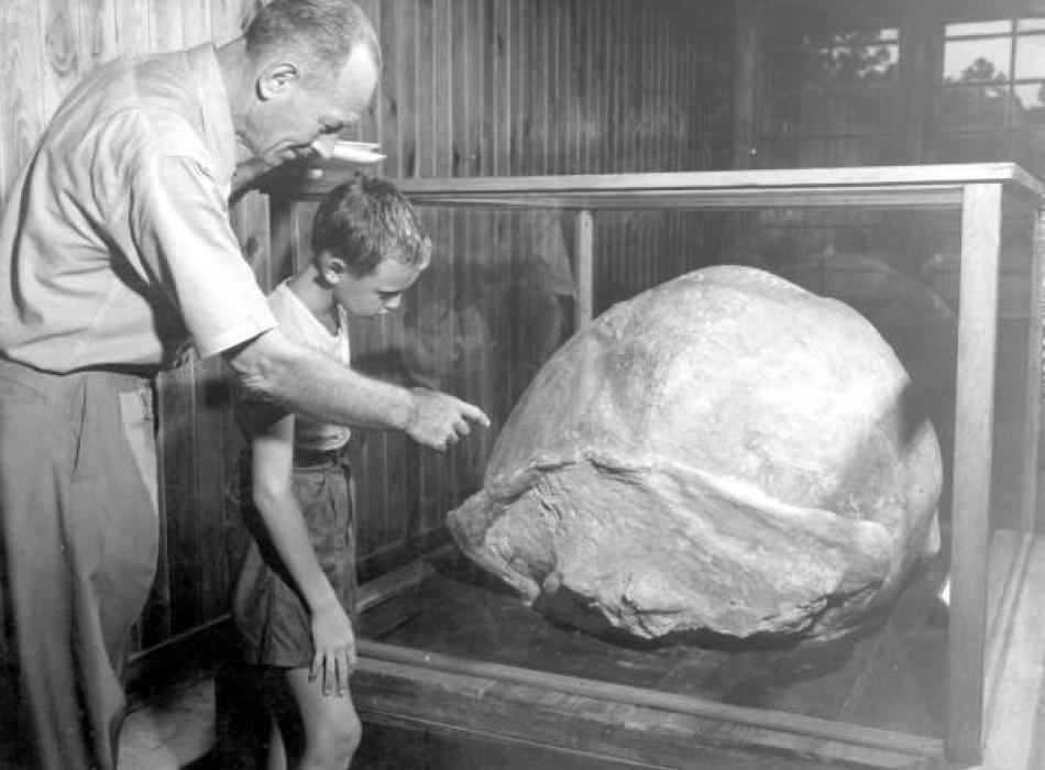 Eric Van Duyn and young visitor examine the “old turtle.” Florida Memory Project 1947