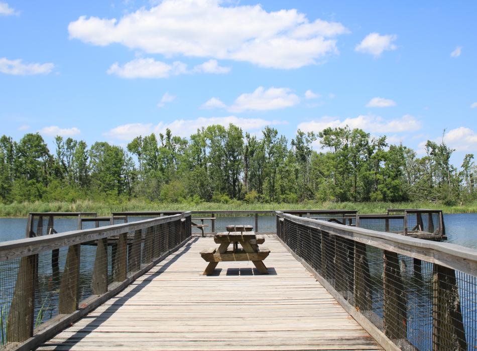 A view of the fishing pier.