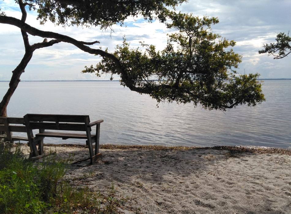 Two wooden benches sit beneath the shade on the beach of the St. Joseph Bay. 