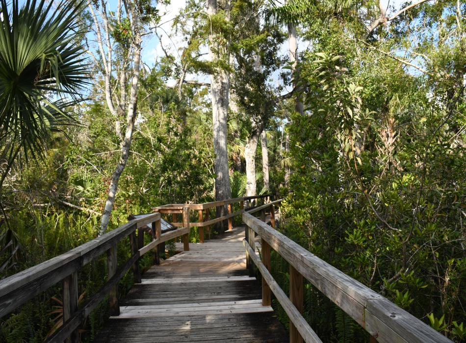 A view of the boardwalk.