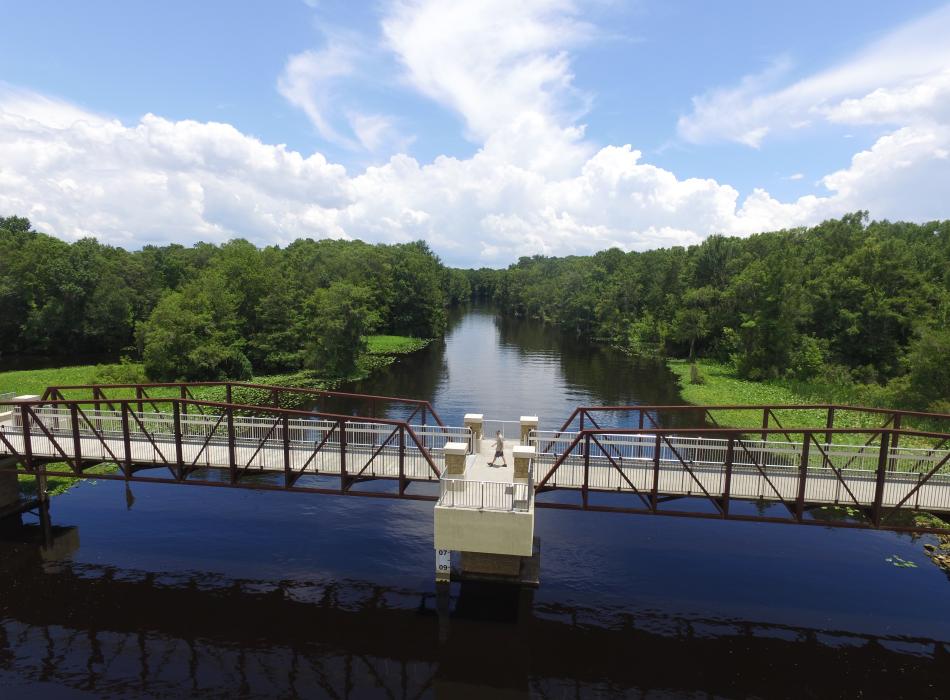 A visitor walks across a bridge on the Marjorie Harris Carr Cross Florida Greenway