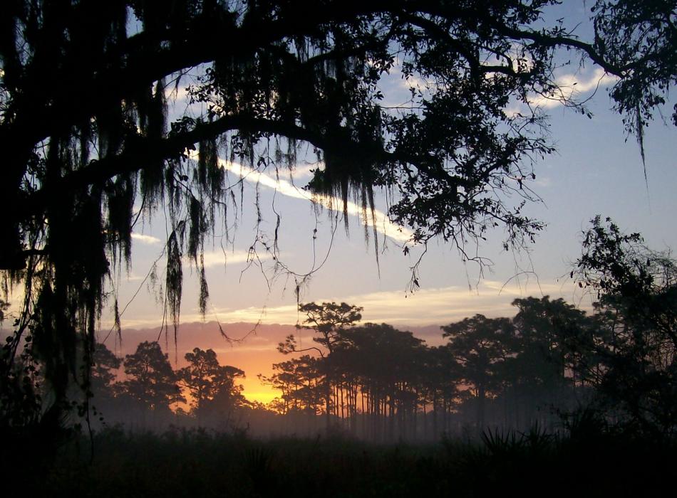 James Rahill's photo of Bee Island at Sunrise