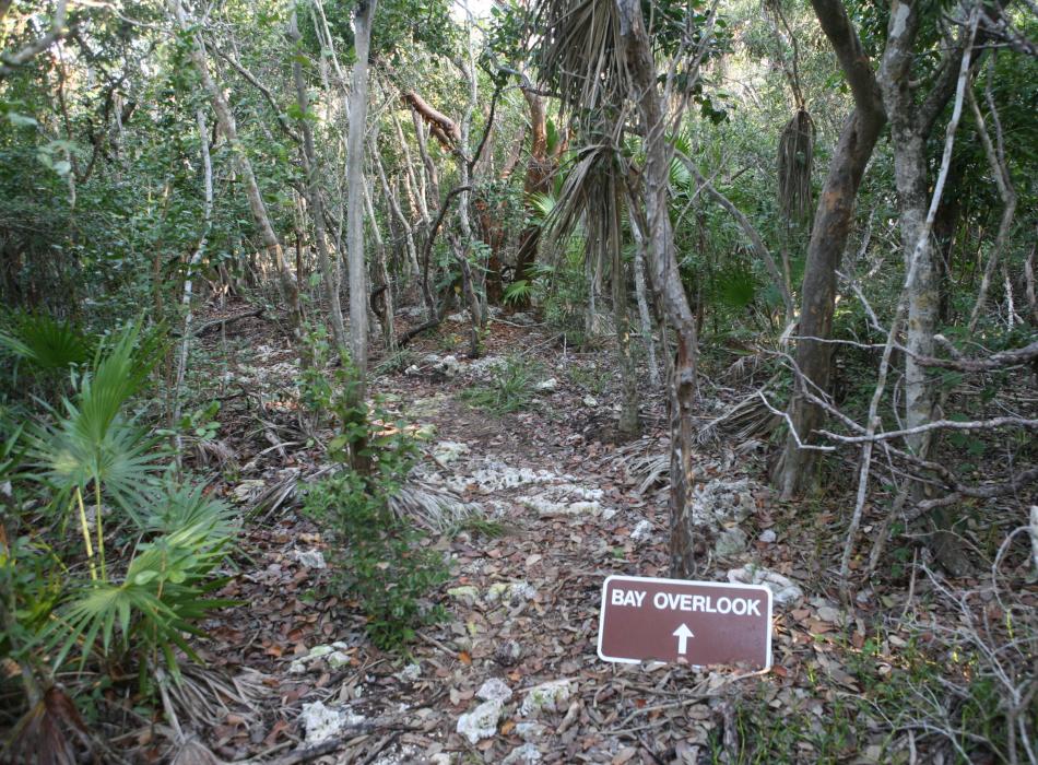 Nature trail 2