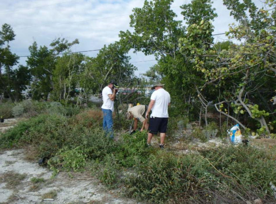 A group of volunteers planting plants from the nursery.