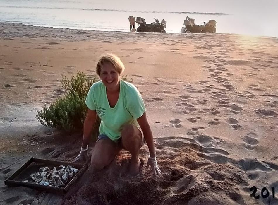 Patty Steman inventories a sea turtle nest on the beach of North Peninsula State Park