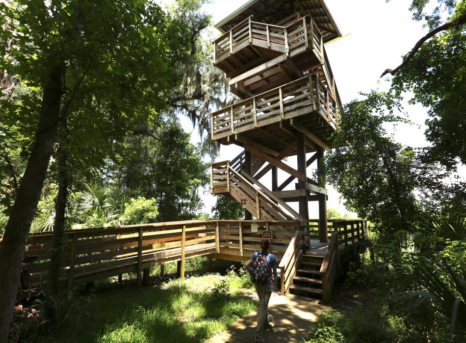 Observation Tower