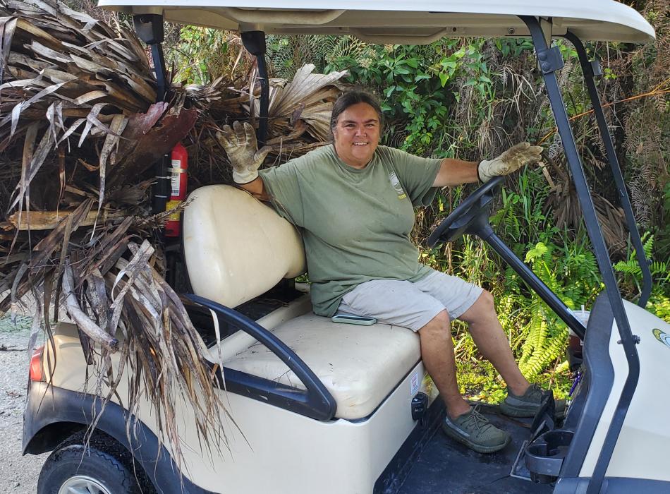 Person in a golf cart with palm leaves