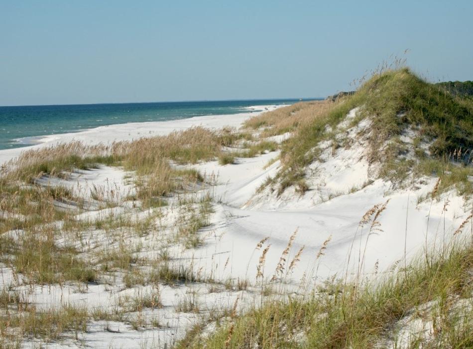 The dune at T.H. Stone Memorial St. Joseph Peninsula State Park