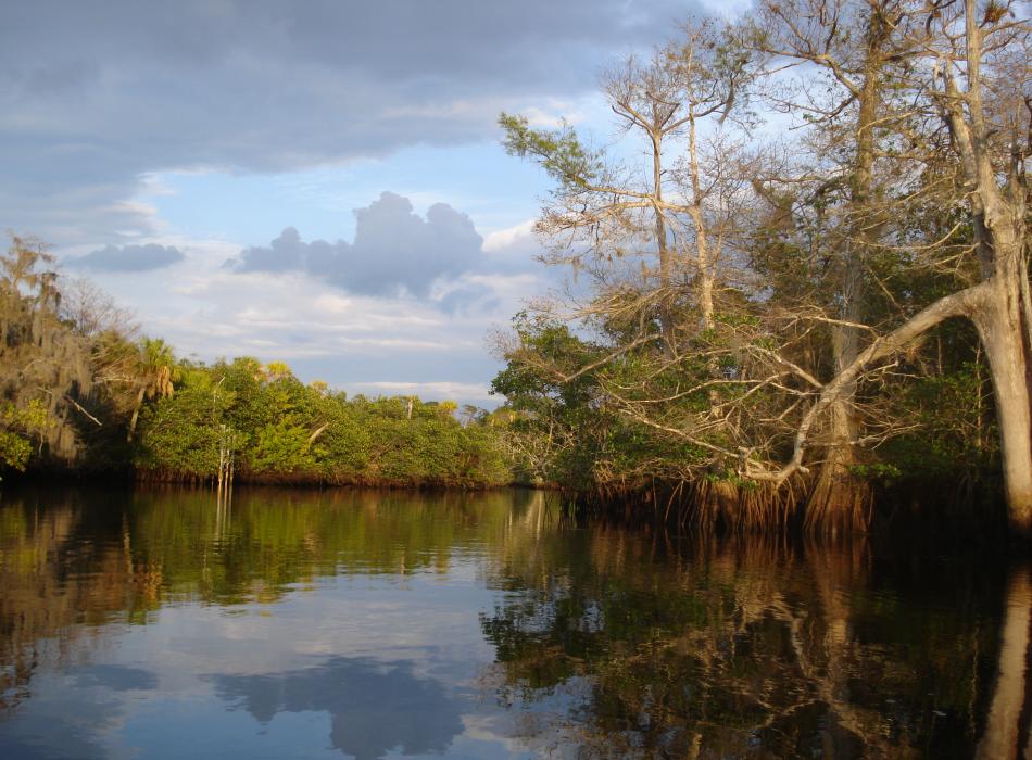 Loxahatchee River View