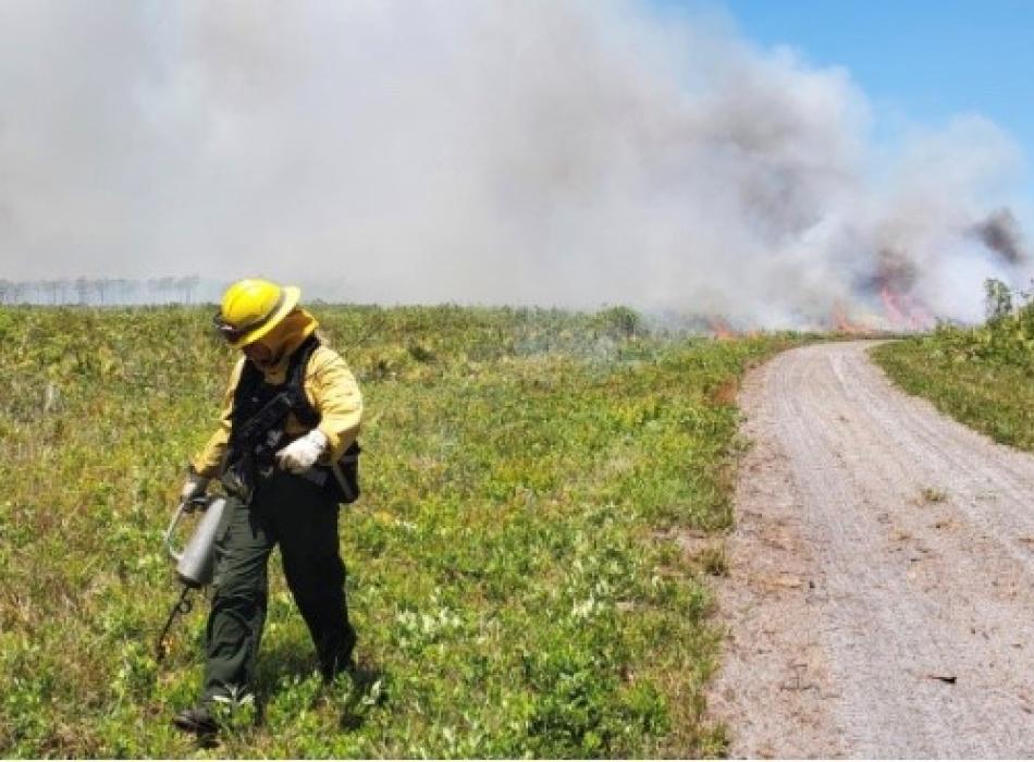 Allison Callis works on a prescribed fire at Myakka River State Park.