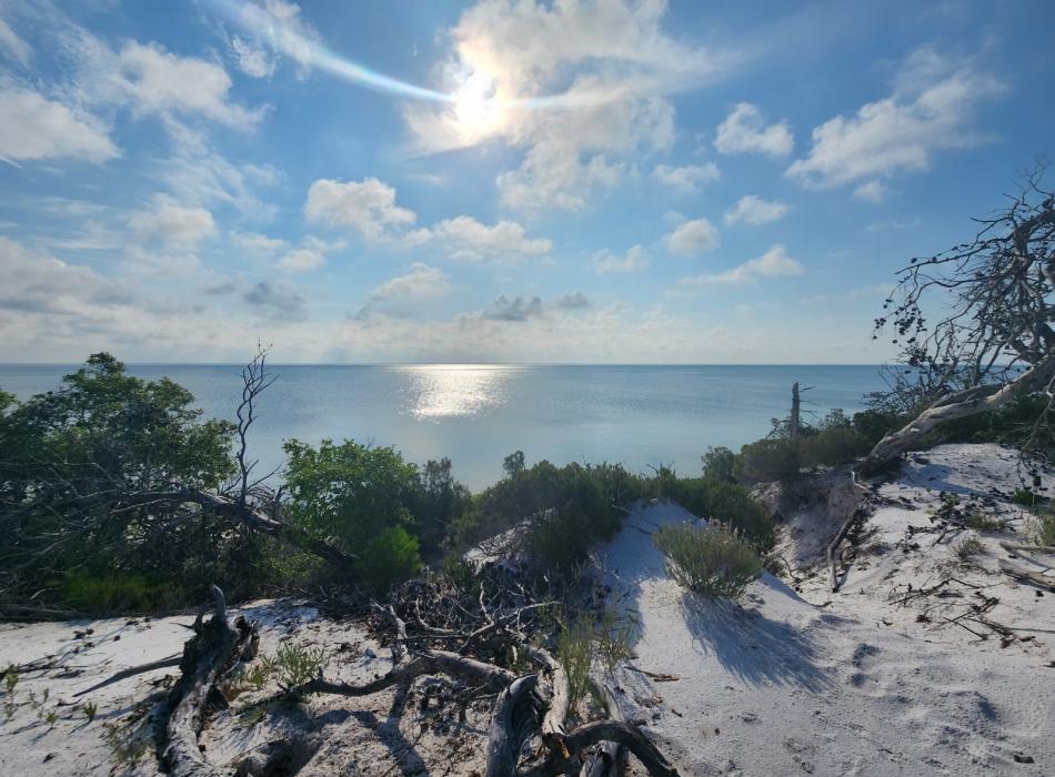 sand on the water