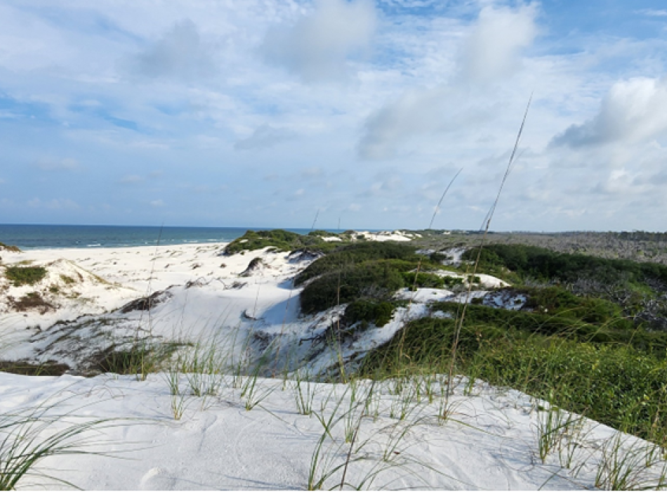 sandy beach